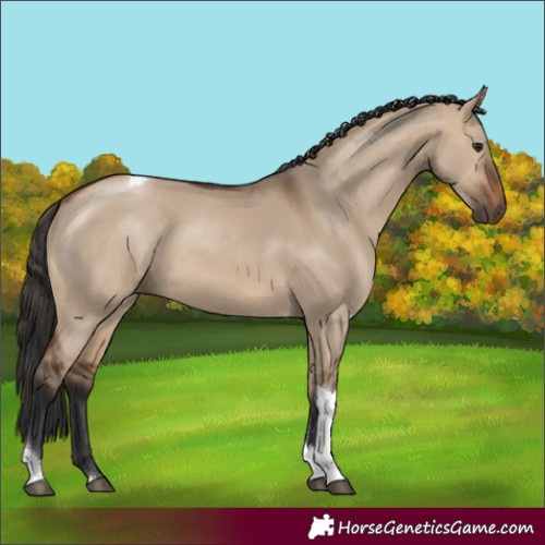 Horse Color:Brown Dun Tobiano Rabicano 