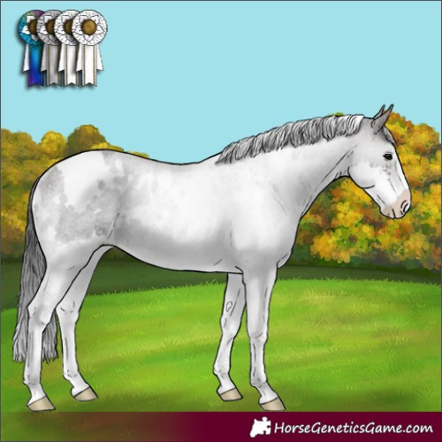 Horse Color:White Spotted Brown Splash Rabicano