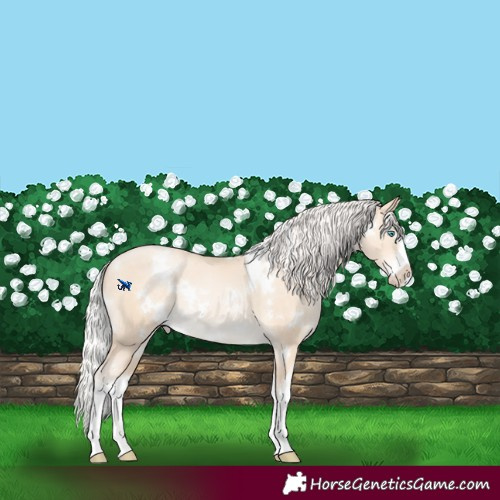 Horse Color:White Spotted Silver Sable Champagne Snowdrop Pearl Splash Varnish Rabicano 