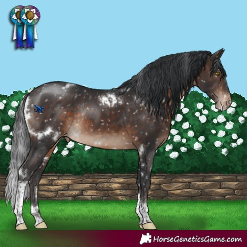 Horse Color:White Spotted Brown Tobiano Snowflake Varnish Rabicano 
