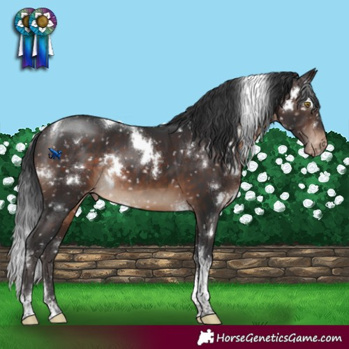 Horse Color:White Spotted Brown Tobiano Snowflake Varnish Rabicano