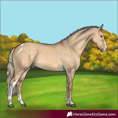 Horse Color:Chocolate Palomino Dun Sabino Tobiano 