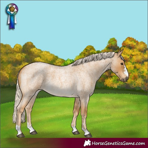 Horse Color:Palomino Roan 