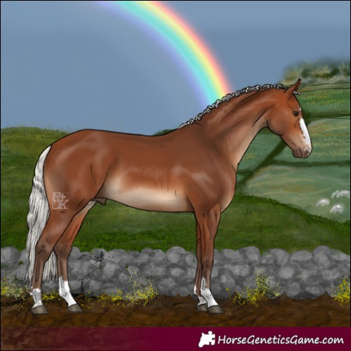 Horse Color:Silver Brown 
