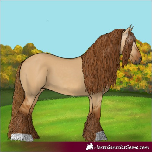 Horse Color:Gray Red Dun 