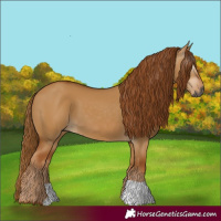 Horse Color:Gray Red Dun 