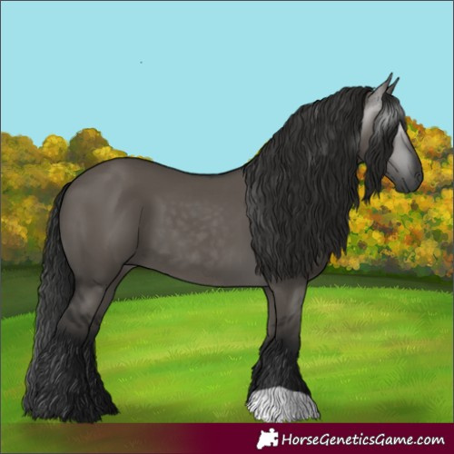 Horse Color:Gray Grullo 