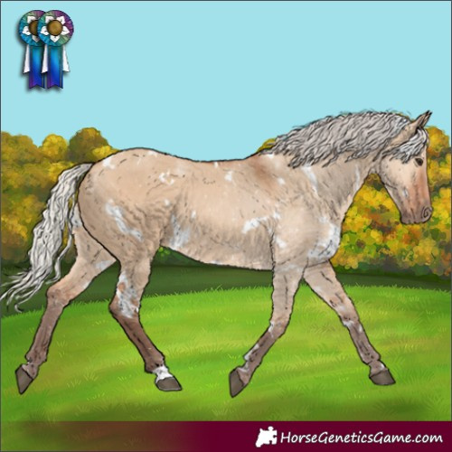 Horse Color:White Spotted Silver Bay Dun 