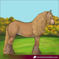 Horse Color:Gray Red Dun 