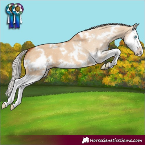 Horse Color:White Spotted Silver Bay Dun Sabino Splash 