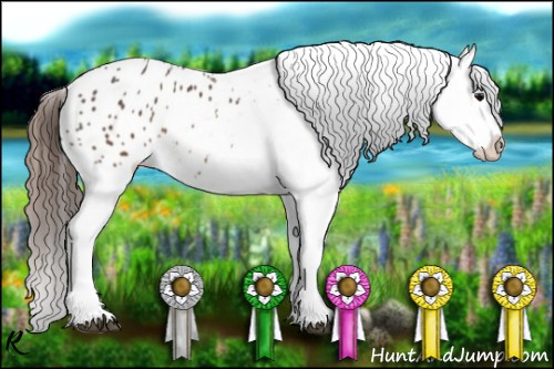 Horse Color:Brown Appaloosa 