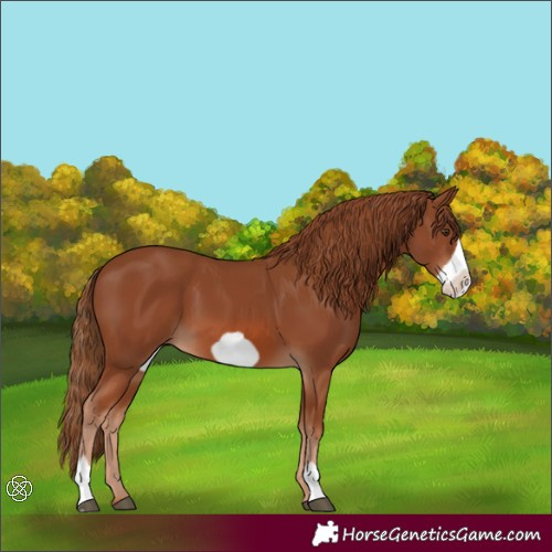 Horse Color:Chestnut Frame 