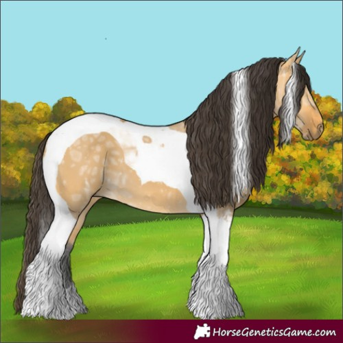 Horse Color:Buckskin Ice Dun Tobiano