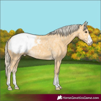 Horse Color:Palomino Ice Snowcap