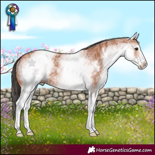 Horse Color:White Spotted Bay Ice 