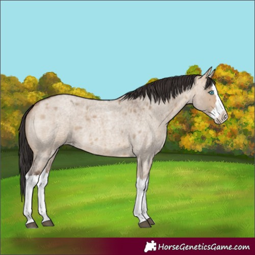 Horse Color:Bay Roan Dun Splash 