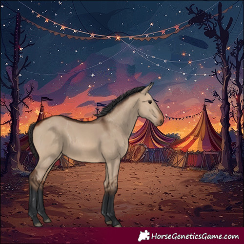 Horse Color:Brown Dun Rabicano