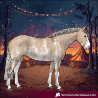 Horse Color:Silver Brown Dun Sabino Rabicano