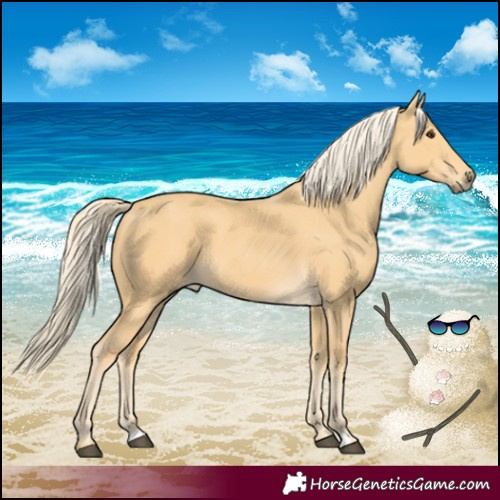 Horse Color:Palomino