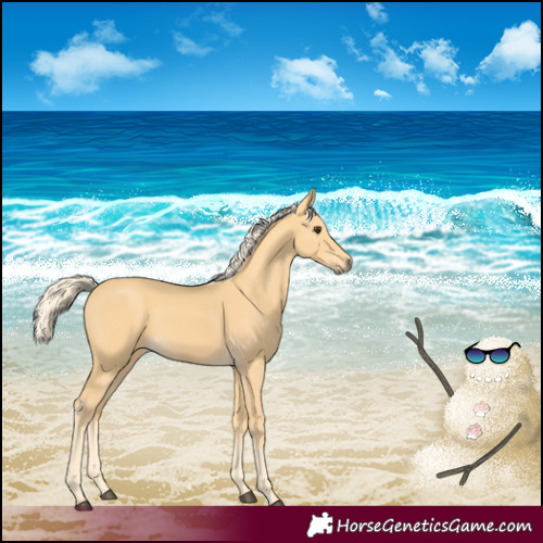 Horse Color:Palomino
