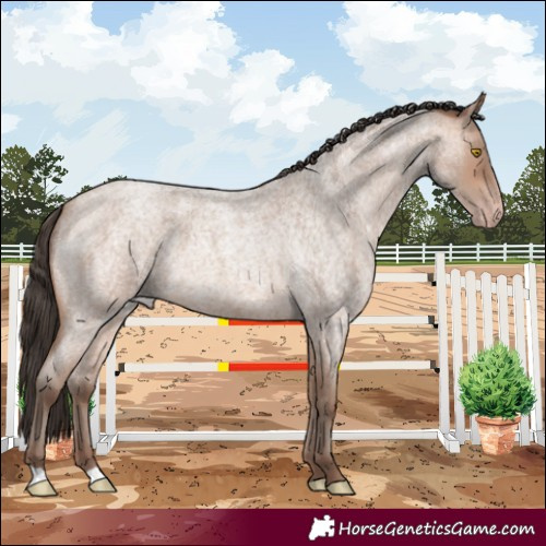 Horse Color:Sable Champagne Roan
