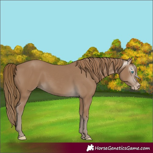 Horse Color:Gray Smoky Creme
