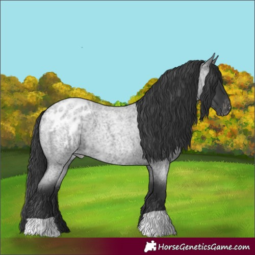 Horse Color:Blue Roan Blanket 