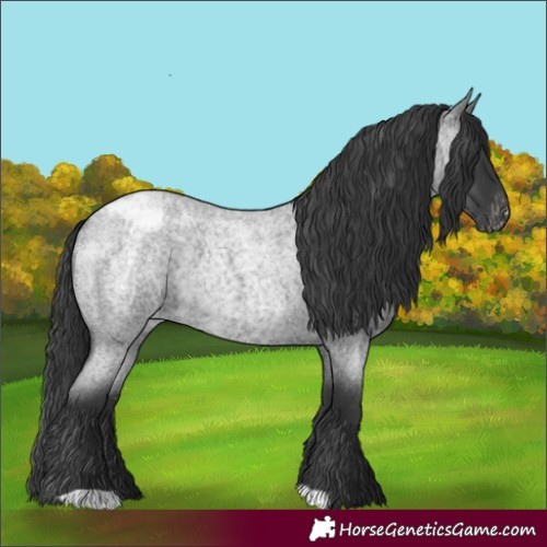 Horse Color:Blue Roan Blanket 