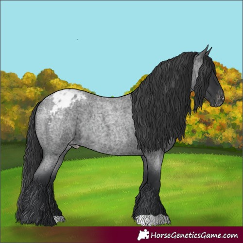 Horse Color:Blue Roan Blanket 