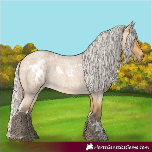 Horse Color:White Spotted Silver Buckskin Roan 