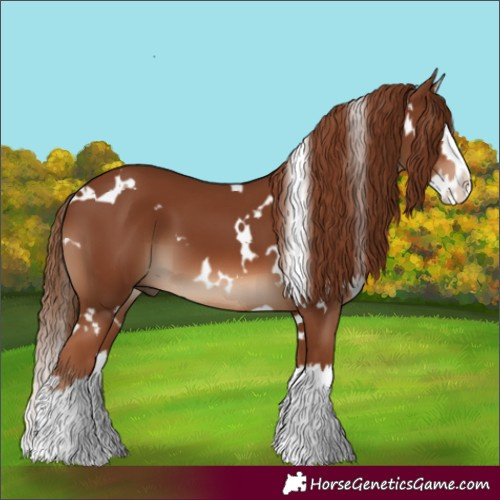 Horse Color:White Spotted Chestnut Splash