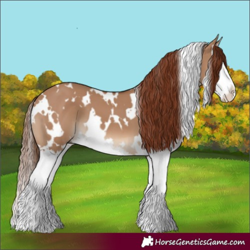 Horse Color:White Spotted Red Dun Splash 