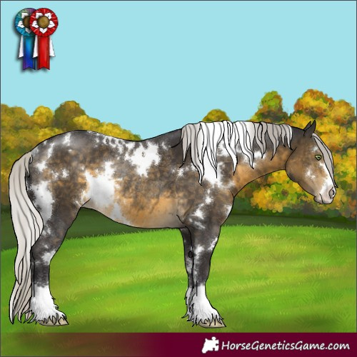 Horse Color:White Spotted Silver Buckskin Rabicano 