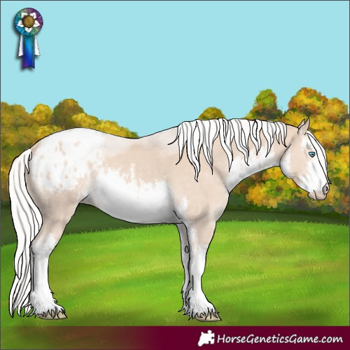 Horse Color:White Spotted Silver Smoky Creme Blanket 