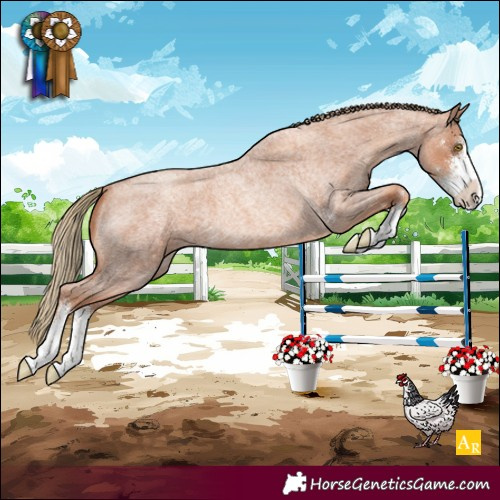 Horse Color:Gold Champagne Roan Sabino 