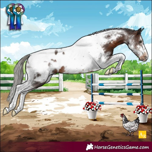 Horse Color:Silver Brown Sabino Tobiano Frame Blanket Rabicano 