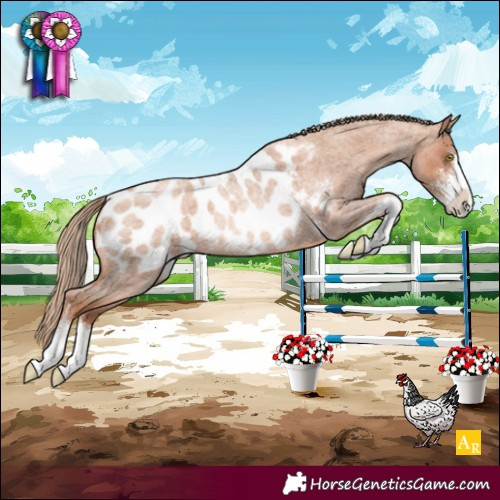 Horse Color:Gold Champagne Roan Sabino Blanket Rabicano 