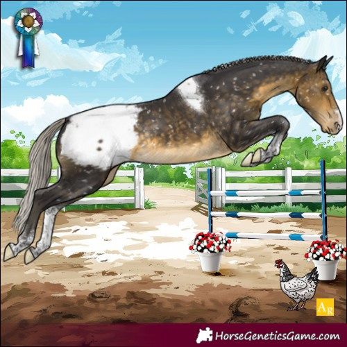 Horse Color:Silver Buckskin Tobiano Snowcap Rabicano 