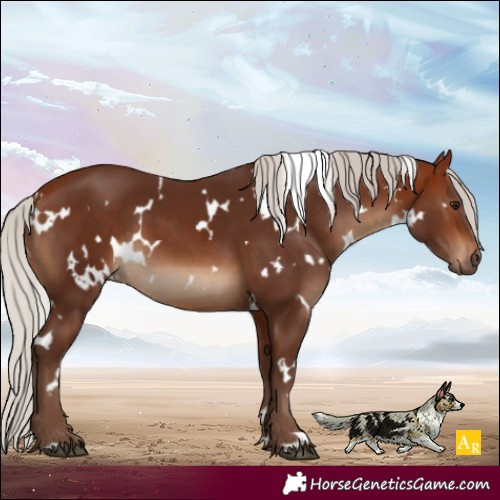 Horse Color:White Spotted Silver Bay 
