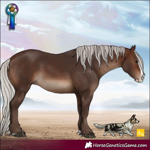 Horse Color:Silver Brown Splash 