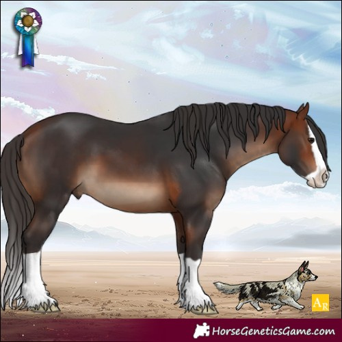 Horse Color:Bay Splash 