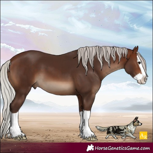 Horse Color:Silver Brown Splash