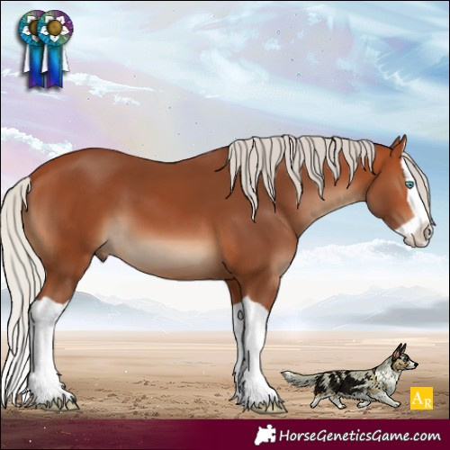 Horse Color:Silver Bay Splash 