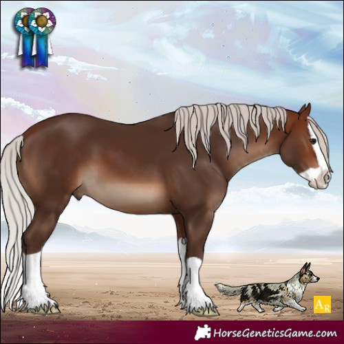 Horse Color:Silver Brown Splash 