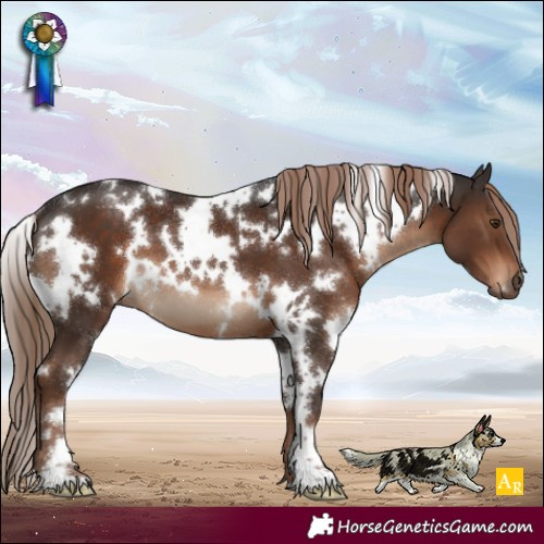 Horse Color:White Spotted Liver Chestnut 