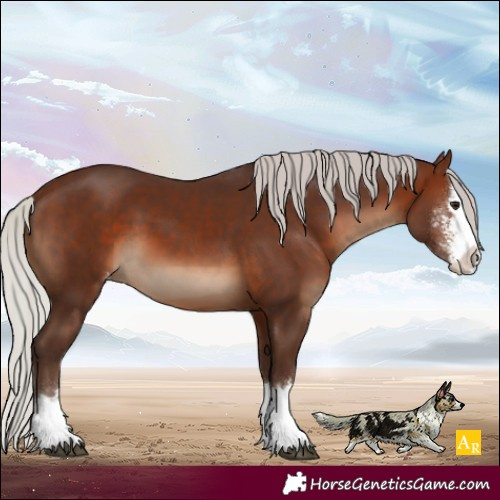 Horse Color:Silver Brown Sabino Splash Varnish 