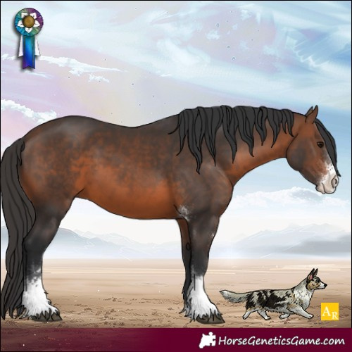 Horse Color:Brown Sabino
