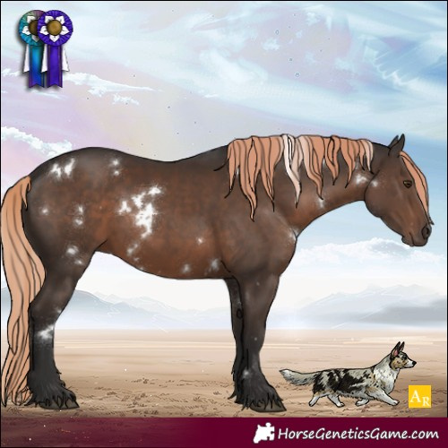 Horse Color:White Spotted Liver Chestnut 