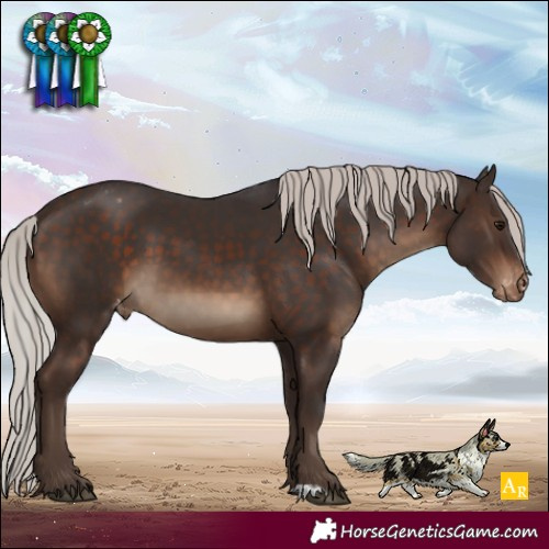 Horse Color:Silver Brown Varnish