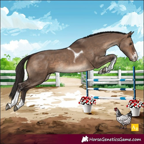 Horse Color:Brown Dun Sabino Tobiano